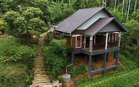 Casta Wild Homestay